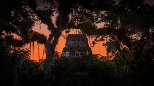 Privileged twilight at the Tikal Maya site, with view on Temple IV Privileged twilight at the Tikal Maya site, with view on Temple IV